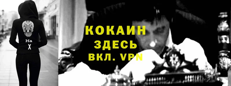 blacksprut ссылка  Губкин  КОКАИН Перу  дарнет шоп 